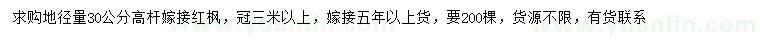 求購地徑30公分高桿嫁接紅楓