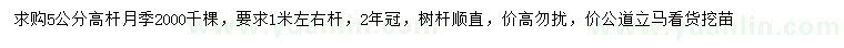 求購5公分高桿月季