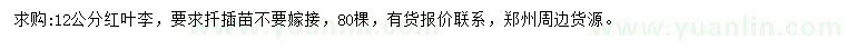 求購12公分紅葉李