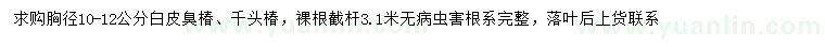 求購胸徑10-12公分白皮臭椿、千頭椿