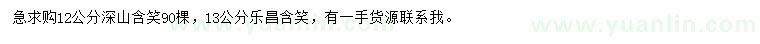 求購(gòu)12公分深山含笑、13公分樂(lè)昌含笑