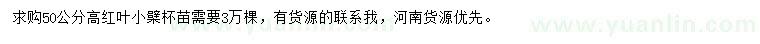 求購高50公分紅葉小檗