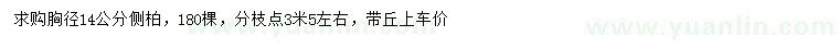 求購胸徑14公分側(cè)柏