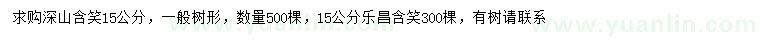 求購(gòu)15公分深山含笑、樂昌含笑
