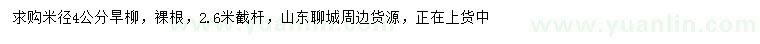 求購米徑4公分旱柳
