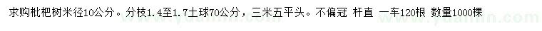 求購米徑10公分枇杷樹