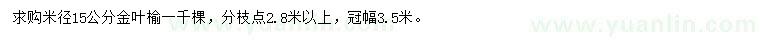 求購米徑15公分金葉榆