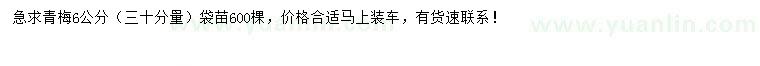 求購30量6公分青梅