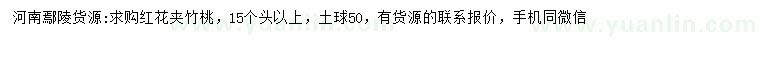 求購(gòu)15個(gè)頭以上紅花夾竹桃