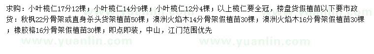 求購小葉欖仁、秋楓、澳洲火焰木等