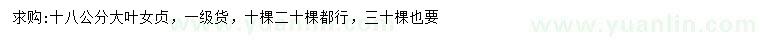 求購18公分大葉女貞