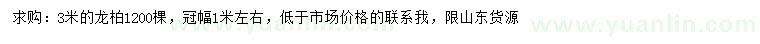 求購3米龍柏