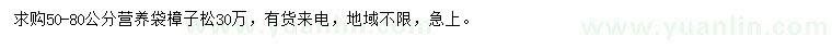 求購50-80公分樟子松