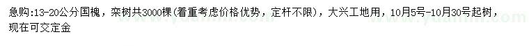 求購13-20公分國槐、欒樹