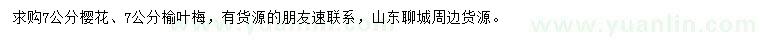 求購(gòu)7公分櫻花、榆葉梅