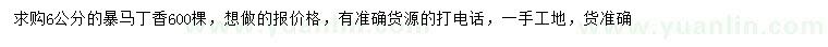 求購6公分暴馬丁香