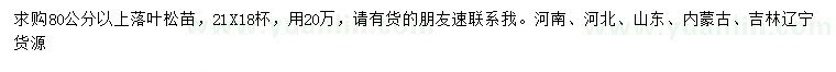 求購80公分以上落葉松苗