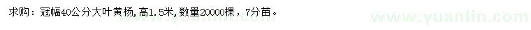 求購冠幅40公分大葉黃楊