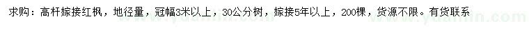 求購冠幅3米以上高桿嫁接紅楓