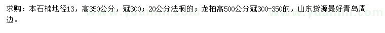 求購本石楠、法桐、龍柏