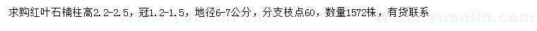 求購高2.2-2.5米紅葉石楠柱