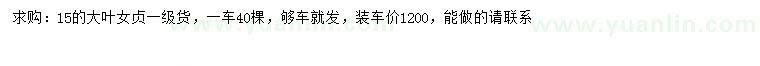 求購15公分大葉女貞