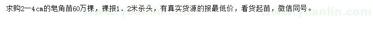 求購(gòu)2-4公分皂角