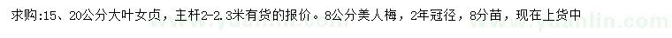 求購15、20公分大葉女貞、8公分美人梅