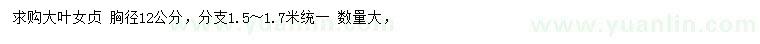 求購胸徑12公分大葉女貞
