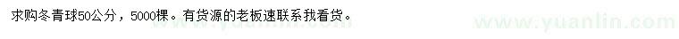 求購(gòu)50公分冬青球