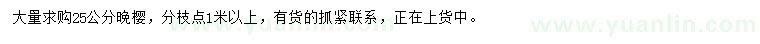 求購25公分晚櫻