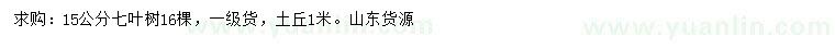 求購15公分七葉樹