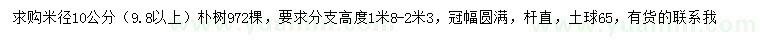 求購米徑9.8公分以上樸樹