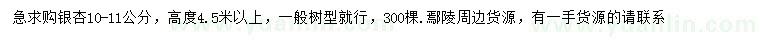 求購10-11公分銀杏