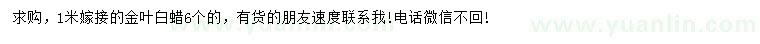 求購1米量6公分金葉白蠟