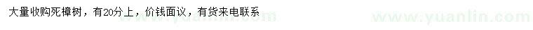 求購(gòu)20公分以上死樟樹