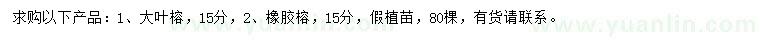求購15公分大葉榕、橡膠榕