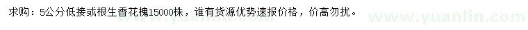 求購5公分香花槐