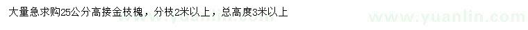 求購25公分高接金枝槐