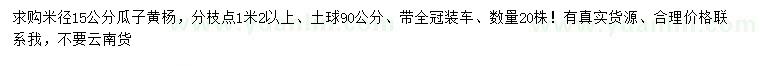 求購米徑15公分瓜子黃楊