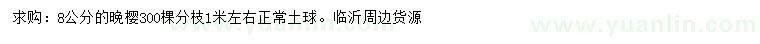 求購8公分晚櫻