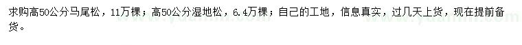 求購高50公分馬尾松、濕地松