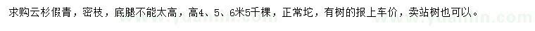 求購高4、5、6米云杉