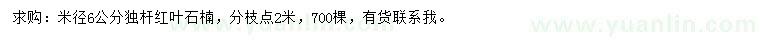 求購(gòu)米徑6公分紅葉石楠