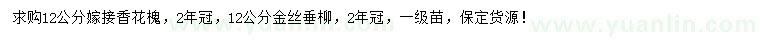 求購(gòu)12公分香花槐、金絲垂柳