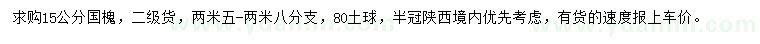 求購15公分國槐