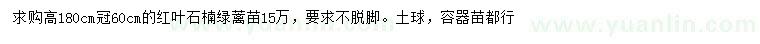 求購(gòu)高180公分紅葉石楠