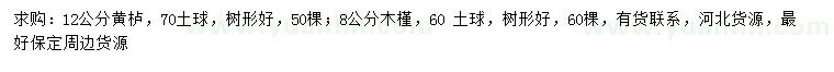 求購(gòu)8公分木槿、12公分黃櫨