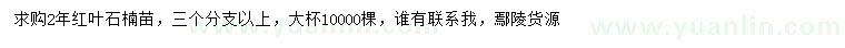 求購三個分支以上紅葉石楠