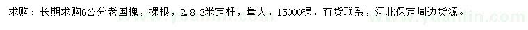 求購6公分國槐